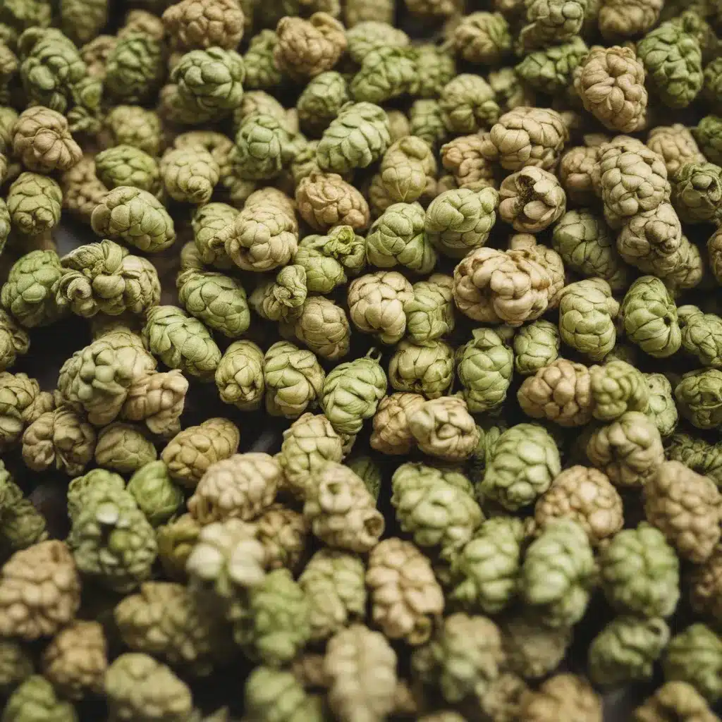 Craft Beer and the Secrets of Dry Hopping: Maximizing Aroma and Bitterness